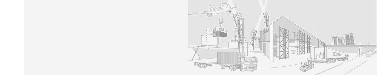 A sketch showing the three divisions of DSV - Air & Sea, Road and Solutions.